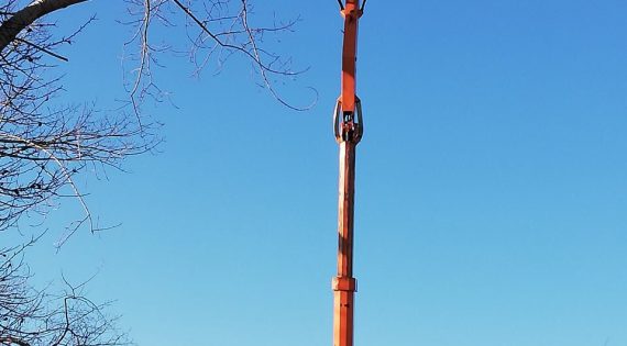 Премахване на опасни клони!